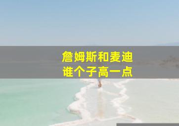 詹姆斯和麦迪谁个子高一点