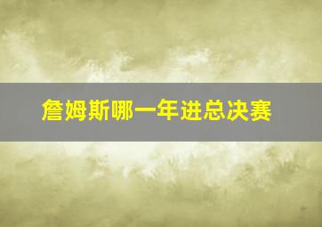 詹姆斯哪一年进总决赛