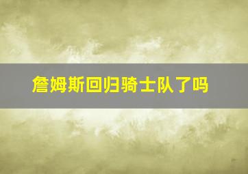 詹姆斯回归骑士队了吗