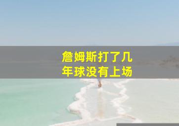 詹姆斯打了几年球没有上场