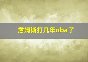 詹姆斯打几年nba了