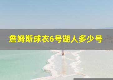 詹姆斯球衣6号湖人多少号