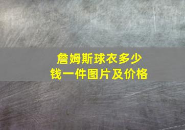 詹姆斯球衣多少钱一件图片及价格