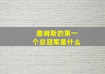 詹姆斯的第一个总冠军是什么