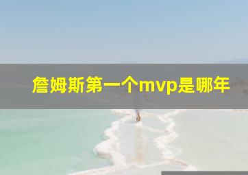 詹姆斯第一个mvp是哪年