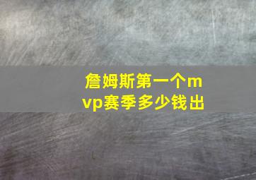 詹姆斯第一个mvp赛季多少钱出