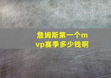 詹姆斯第一个mvp赛季多少钱啊