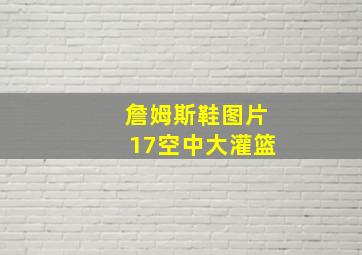 詹姆斯鞋图片17空中大灌篮