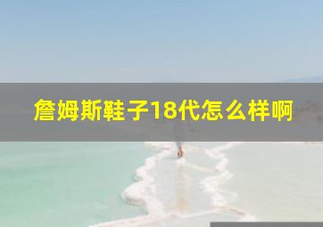 詹姆斯鞋子18代怎么样啊