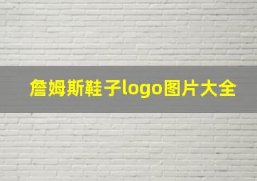 詹姆斯鞋子logo图片大全