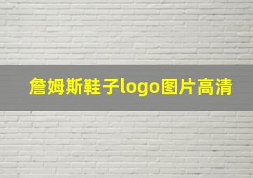 詹姆斯鞋子logo图片高清