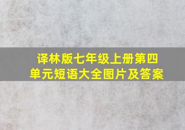 译林版七年级上册第四单元短语大全图片及答案