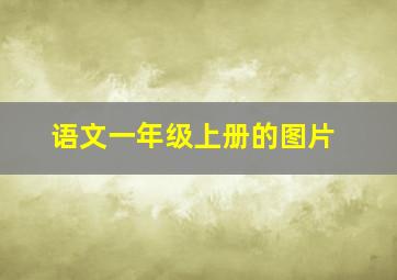 语文一年级上册的图片