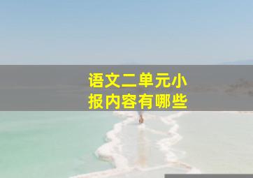 语文二单元小报内容有哪些