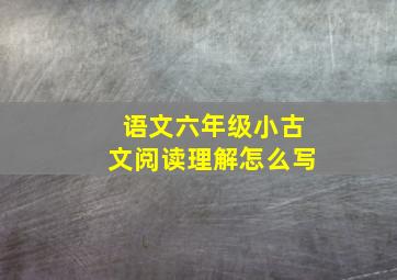 语文六年级小古文阅读理解怎么写