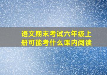 语文期末考试六年级上册可能考什么课内阅读