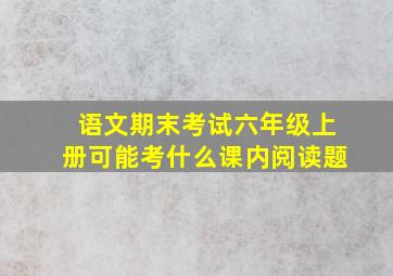 语文期末考试六年级上册可能考什么课内阅读题