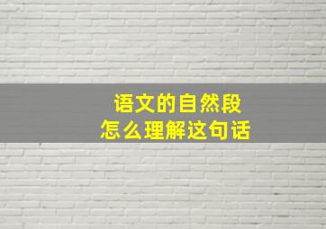 语文的自然段怎么理解这句话