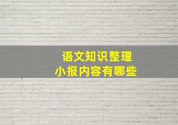 语文知识整理小报内容有哪些