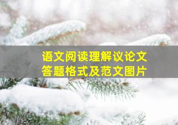 语文阅读理解议论文答题格式及范文图片