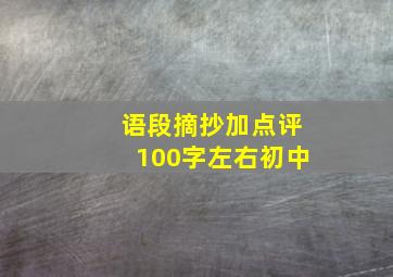 语段摘抄加点评100字左右初中