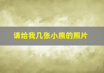 请给我几张小熊的照片