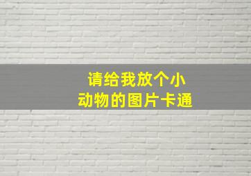 请给我放个小动物的图片卡通