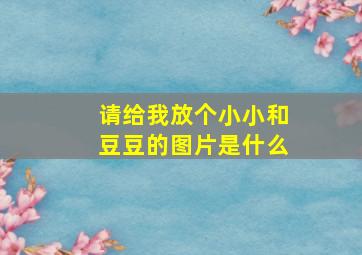 请给我放个小小和豆豆的图片是什么