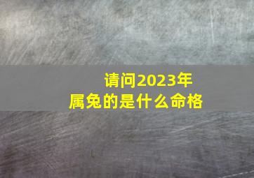 请问2023年属兔的是什么命格