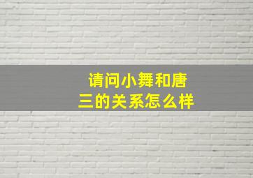 请问小舞和唐三的关系怎么样