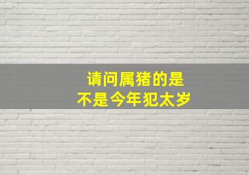 请问属猪的是不是今年犯太岁