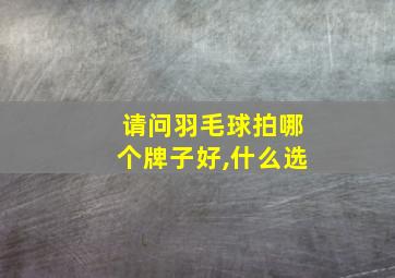 请问羽毛球拍哪个牌子好,什么选