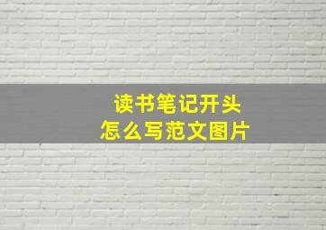 读书笔记开头怎么写范文图片