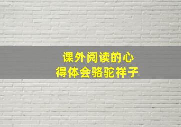 课外阅读的心得体会骆驼祥子