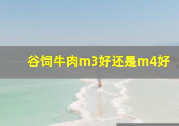 谷饲牛肉m3好还是m4好