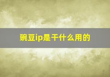 豌豆ip是干什么用的