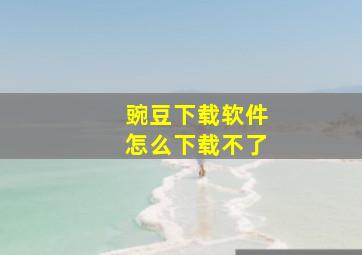 豌豆下载软件怎么下载不了