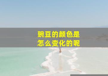 豌豆的颜色是怎么变化的呢