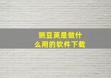 豌豆荚是做什么用的软件下载