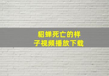 貂蝉死亡的样子视频播放下载