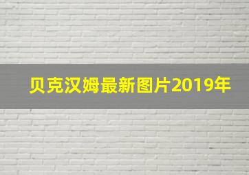 贝克汉姆最新图片2019年