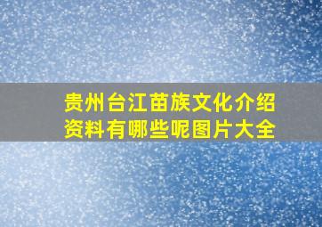 贵州台江苗族文化介绍资料有哪些呢图片大全