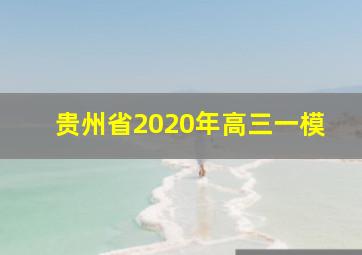 贵州省2020年高三一模