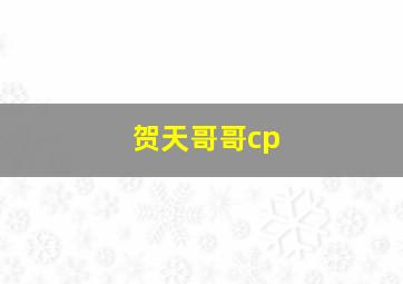 贺天哥哥cp