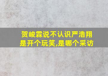 贺峻霖说不认识严浩翔是开个玩笑,是哪个采访