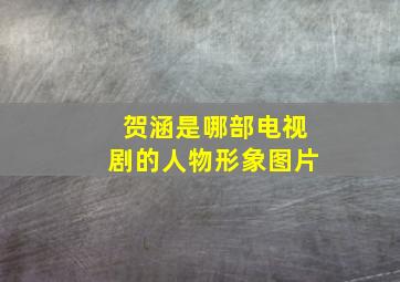 贺涵是哪部电视剧的人物形象图片