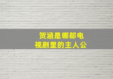 贺涵是哪部电视剧里的主人公