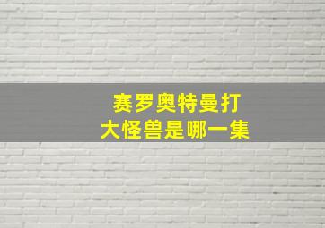 赛罗奥特曼打大怪兽是哪一集