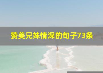 赞美兄妹情深的句子73条