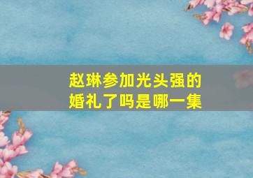 赵琳参加光头强的婚礼了吗是哪一集